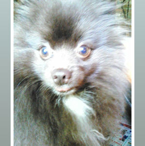 Meet your Posher, Kim